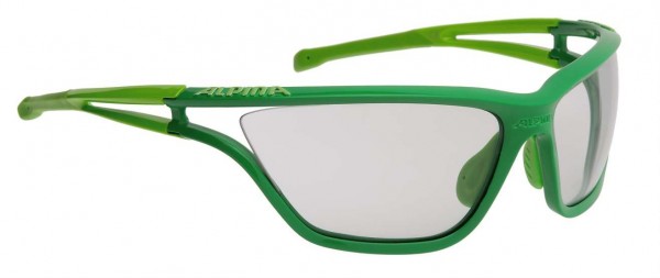 Alpina Eye 5 -green